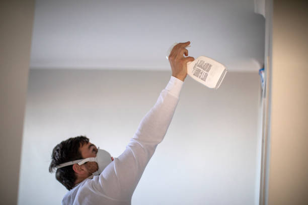 Best Best Mold Removal Companies  in Clarkson, KY
