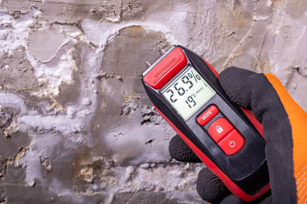 Trusted Clarkson, KY Mold Removal Experts